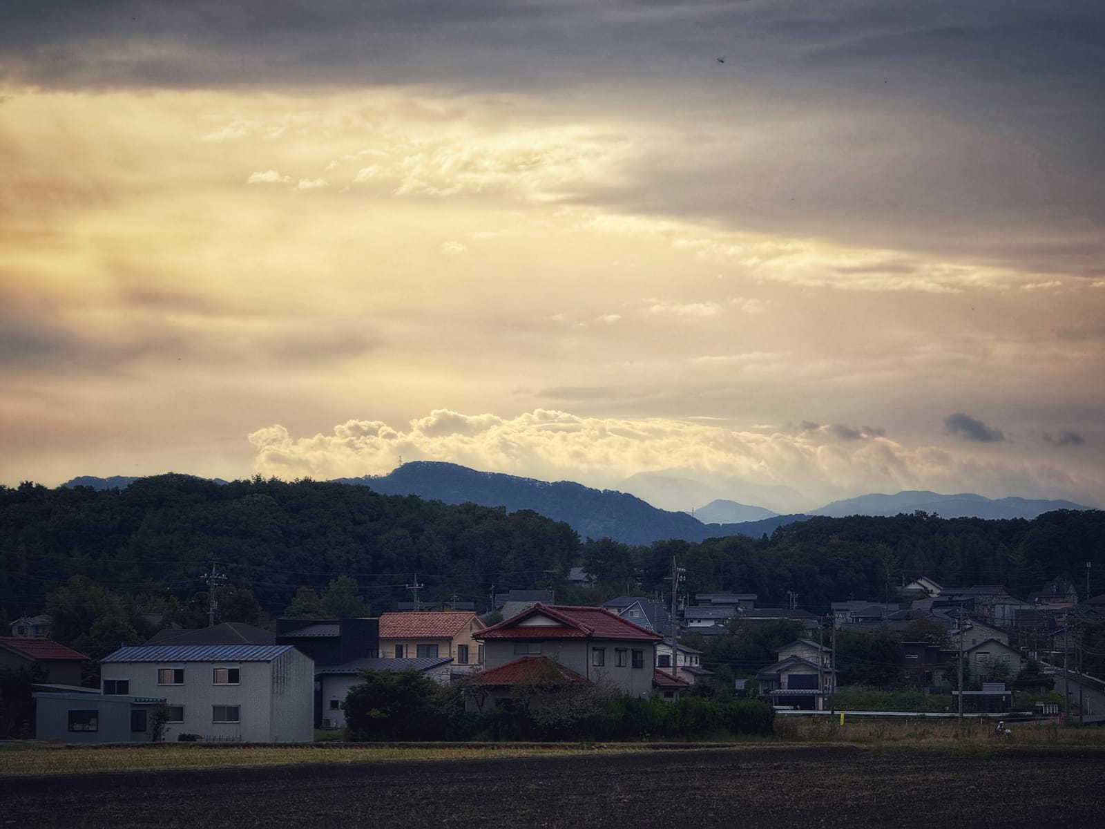 今週はじめの、季節外れに暖かくて風の強い朝。